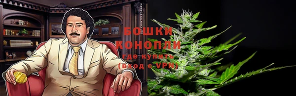 МДПВ Гусев