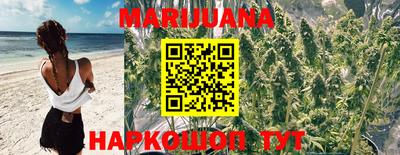 mdpv Бийск