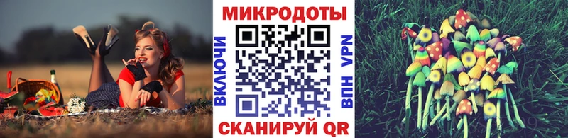 Галлюциногенные грибы Psilocybine cubensis Дивногорск