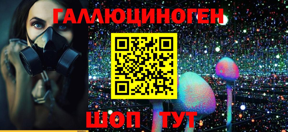 Галлюциногенные грибы прущие грибы  Дивногорск  Псилоцибиновые грибы GOLDEN TEACHER 