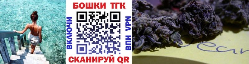 где найти Дивногорск Конопля планчик